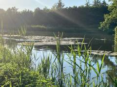 IMG-20221106-WA0012
