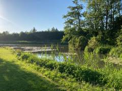 IMG-20221106-WA0013