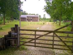 IMG-20210621-WA0003